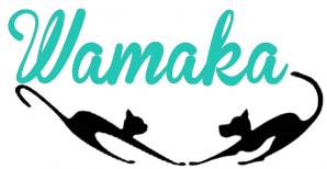 Nouveau logo asso canard 1